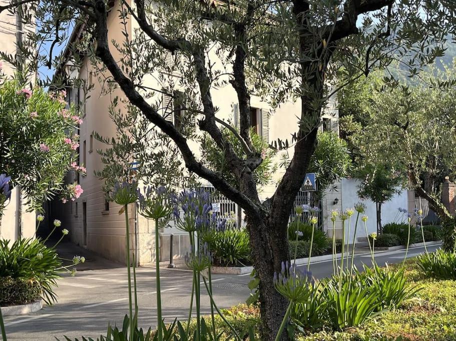 La Piccola Casa Al Lago - Intera Casa Con 3 Camere E 2 Box Сало Экстерьер фото